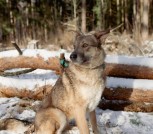 IMG_20250616_233408_297