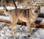 IMG_20250616_233408_444