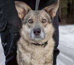 IMG_20250616_233408_894