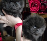 GridArt_20250404_174139911