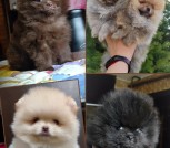 GridArt_20250408_121809319