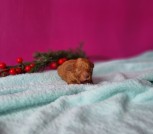 IMG_20250413_192105_277