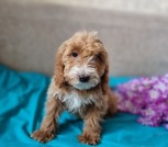 IMG_20250413_192127_949