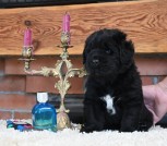 изображение_viber_2025-04-14_15-30-26-760