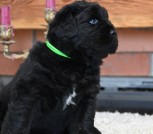 изображение_viber_2025-04-16_09-57-51-979