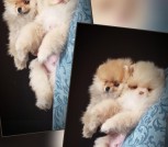 GridArt_20250419_104339359