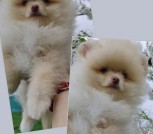 GridArt_20250423_171546445