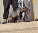 photo_5226682201314291159_y