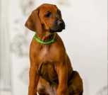 Screenshot_2025-07-12-15-40-37-090_com.android.chrome-edit