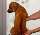 Screenshot_2025-07-12-15-41-00-215_com.android.chrome-edit