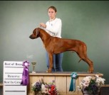 Screenshot_2025-07-12-15-41-13-290_com.android.chrome-edit