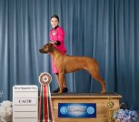 Screenshot_2025-07-12-15-41-39-705_com.android.chrome-edit