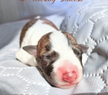 5_20250526_210552_0004