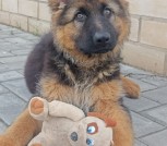 Астана детка-6