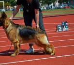 DocumentАСТАНКА ВЫСТАВКА СТОЙКА-2