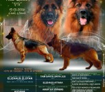 презентация Элизхаус Х Астана-3