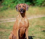 FB_IMG_1748429676603