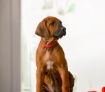 Screenshot_2025-06-06-15-04-21-724_com.mi.globalbrowser-edit