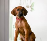 Screenshot_2025-06-06-15-04-38-881_com.mi.globalbrowser-edit