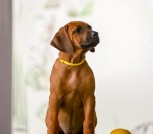 Screenshot_2025-06-06-15-05-53-776_com.mi.globalbrowser-edit