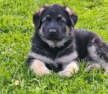 photo_2025-07-14_23-22-50