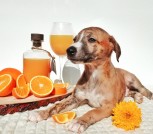 InShot_20250708_145437170