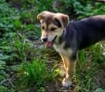 Screenshot_20250704-145517_Viber