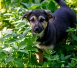 Screenshot_20250704-145532_Viber