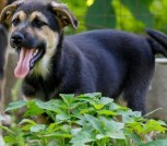 Screenshot_20250707-232901_Viber