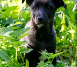 Screenshot_20250704-145445_Viber