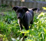 Screenshot_20250707-233319_Viber