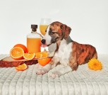 InShot_20250713_111007008