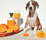 InShot_20250713_111044520