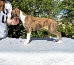 InShot_20250713_111112471