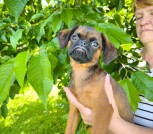 IMG-1effd45bbaf6a7ebf45d721462fbe891-V