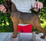 IMG-33defa7248f0b47478316a24be013f1a-V