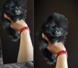 GridArt_20250721_115902912