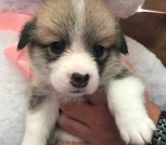 4ad931e5-77bb-40db-ae84-8efb17b3d971