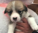 78b53203-0ba7-40c8-bc68-cd8350d37ff5