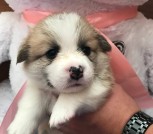 8929387c-7663-4532-a366-d30efeb3f501