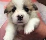 9c59948e-c9ef-4a59-a090-f2dbe0a30f20