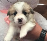 d6050dfa-31be-4106-9117-ec074d26f544