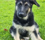 photo_2025-08-20_13-57-00