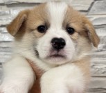 2386722c-5fdb-47bc-9ab0-ba8c8e55a888