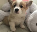 5eff7600-639d-4d93-b354-eb291bacc6f9