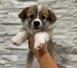 60b152e5-7dd0-428c-a1df-9c8c7e2e819b