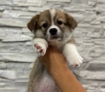 6d6bb0e2-727a-405b-a33b-d0b5714715ce