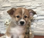 763bdddc-f21f-4578-95a2-50862f586dc9