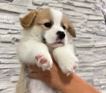 8323033a-19d1-45cc-85f6-da5b81ecbd02