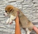 bf4f39ba-b1aa-480c-b2ee-51a0b73b0146